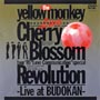 Cherry　Blossom　Revolution－Live　at　BUDOKAN