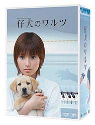 仔犬のワルツ　DVD－BOX