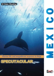 メキシコ　ＳＰＥＣＴＡＣＵＬＡＲ　ＳＥＡ＆ＮＡＴＵＲＥ　ｉｎ　ＭＥＸＩＣＯ