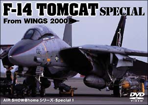 Ｆ－１４　ＴＯＭＣＡＴ　ＳＰＥＣＩＡＬ　ｆｒｏｍ　ＷＩＮＧＳ２０００