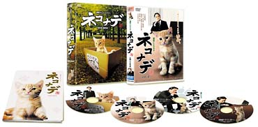 ネコナデ　ＤＶＤ－ＢＯＸ