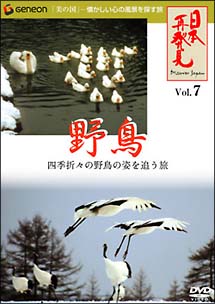 「日本再発見」７　～野鳥～