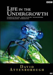 LIFE IN THE UNDERGROWTH／昆虫の世界 DVD－BOX/デヴィッド 