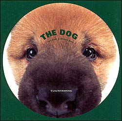 THE　DOG　柴
