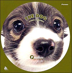 THE　DOG　パピヨン