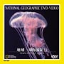 ナショナル　ジオ　グラフィック〜地球一周海流紀行
