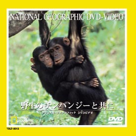 ナショナル・ジオグラフィック 野生のチンパンジーと共に