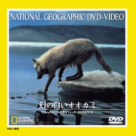 ナショナル・ジオグラフィック～幻の白いオオカミ