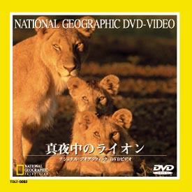ナショナル・ジオグラフィック～真夜中のライオン