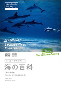 ジャック＝イヴ・クストー海の百科　深海の哺乳類／イルカとクジラの秘密の世界