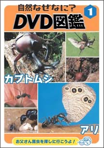 自然なぜなに？　ＤＶＤ図鑑　１