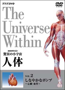 驚異の小宇宙　人体　しなやかなポンプ〜心臓・血管〜