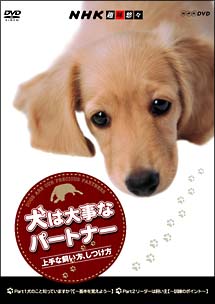 犬は大事なパートナー　上手な飼い方、しつけ方