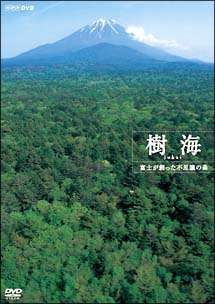 樹海　富士が創った不思議の森