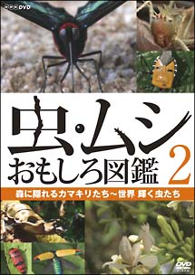 虫・ムシ　おもしろ図鑑　２　森に隠れるカマキリたち～世界　輝く虫たち