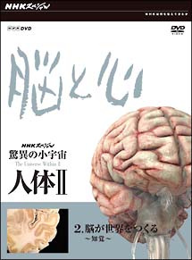 驚異の小宇宙　人体II　脳と心　第2集　脳が世界をつくる〜知覚〜