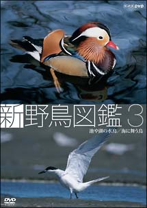 新　野鳥図鑑　第３集　池や湖の水鳥／海に舞う鳥