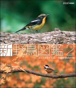 新 野鳥図鑑 第2集 美しくさえずる鳥／草原や里山の鳥/ 本・漫画やDVD