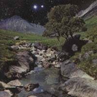 ザ ベータ バンド