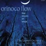 オリノコ　フロウ（エンヤの音楽）〜オーケストラ