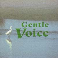 Ｇｅｎｔｌｅ　Ｖｏｉｃｅ