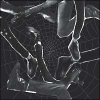 THE HIGH-LOWS　ザ・ハイロウズ THE HIGH-LOWS】ザ・ハイロウズ：全アルバム猛烈レビュー！ロック