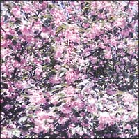 恋愛集 s e n s 本 漫画やdvd Cd ゲーム アニメをtポイントで通販 Tsutaya オンラインショッピング 恋愛集 s e n s 本 漫画やdvd Cd ゲーム アニメをtポイントで通販 Tsutaya オンラインショッピング