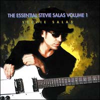 ＴＨＥ　ＥＳＳＥＮＴＩＡＬ　ＳＴＥＶＩＥ　ＳＡＬＡＳ　ＶＯＬＵＭＥ１