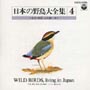 日本の野鳥大全集～３　本州　四国　４