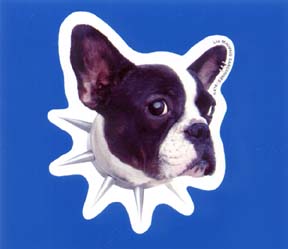 アイドルを探せ -LA PLUS BELLEPOUR ALLER DANSER-