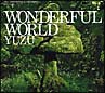 WONDERFUL　WORLD(DVD付)