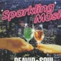 ＳＰＡＲＫＬＩＮＧ　ＭＵＳＩＣ