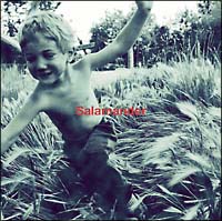 Salamander