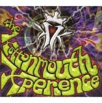 Ｋｏｔｔｏｎｍｏｕｔｈ　Ｅｘｐｅｒｉｅｎｃｅ