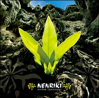 NENRIKI