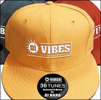 Di VIBES～Japanese Reggae Selection 2006～