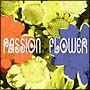 Passion　Flower（通常盤）(HYB)