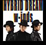 HYBRID　DREAM／Rain　Is　Fallin’（B）(DVD付)