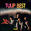 ＴＵＬＩＰ　ＢＥＳＴ　心の旅