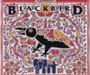 Ｂｌａｃｋｂｉｒｄ