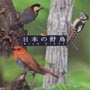 NEW　BEST　ONE　日本の野鳥
