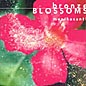 Bronze　Blossoms〜ブロンズの開花　バリ島ガムランの奇跡　2