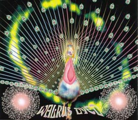 20012002/walrus - レンタルCD｜TSUTAYA レンタル・販売 商品