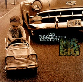 ベスト・オブ・ＭＲ．ＢＩＧ