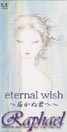 ｅｔｅｒｎａｌ　ｗｉｓｈ～届かぬ君へ～