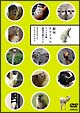動物チラリズム　－カメラ目線動物写真DVD－