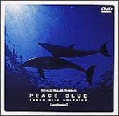 Ｐｅａｃｅ　Ｂｌｕｅ　ＴＯＫＹＯ　ＷＩＬＤ　ＤＯＬＰＨＩＮＳ