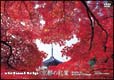 virtual　trip　京都の紅葉