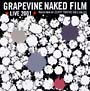 GRAPEVINE　NAKED　FILM　〜LIVE2001