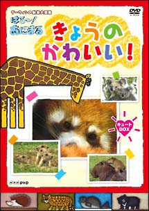 NHK　DVD　ダーウィンの動物大図鑑　はろ〜！あにまる　きょうのかわいい！　キュートBOX